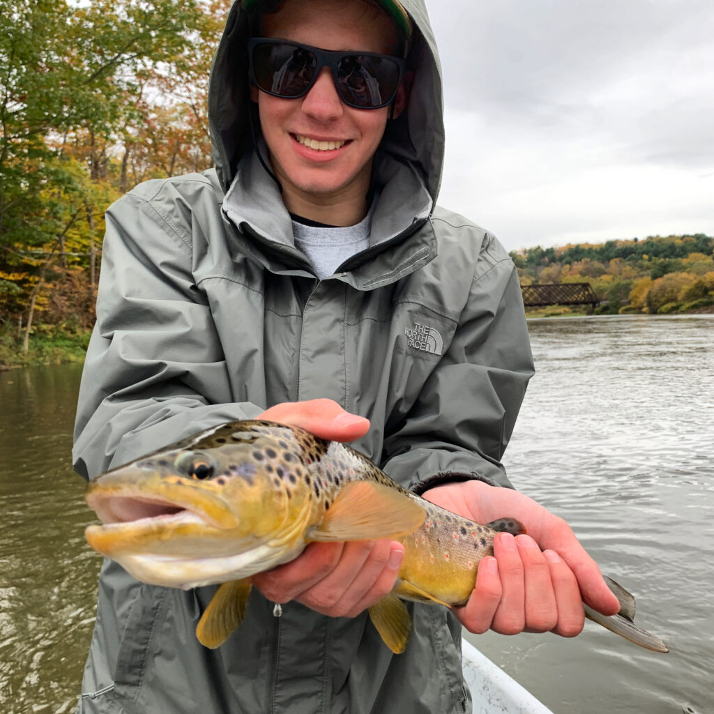 West branch brown trout