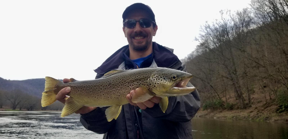 Mainstem Delaware Brown Trout