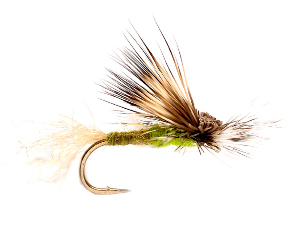 Apple Green Caddis - Hackett Fly Fishing