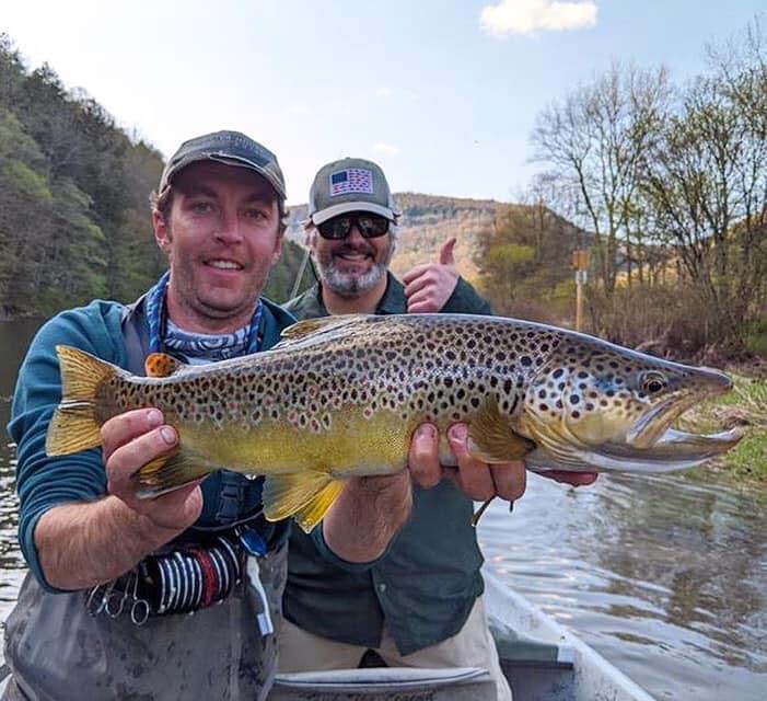 brown trout East Branch ny