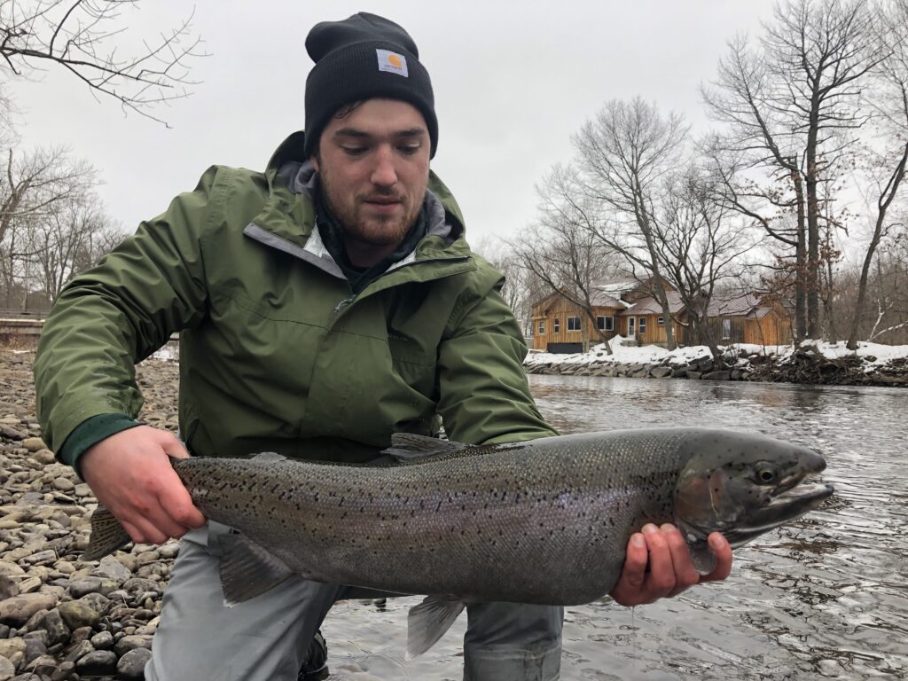 Salmon River NY Steelhead