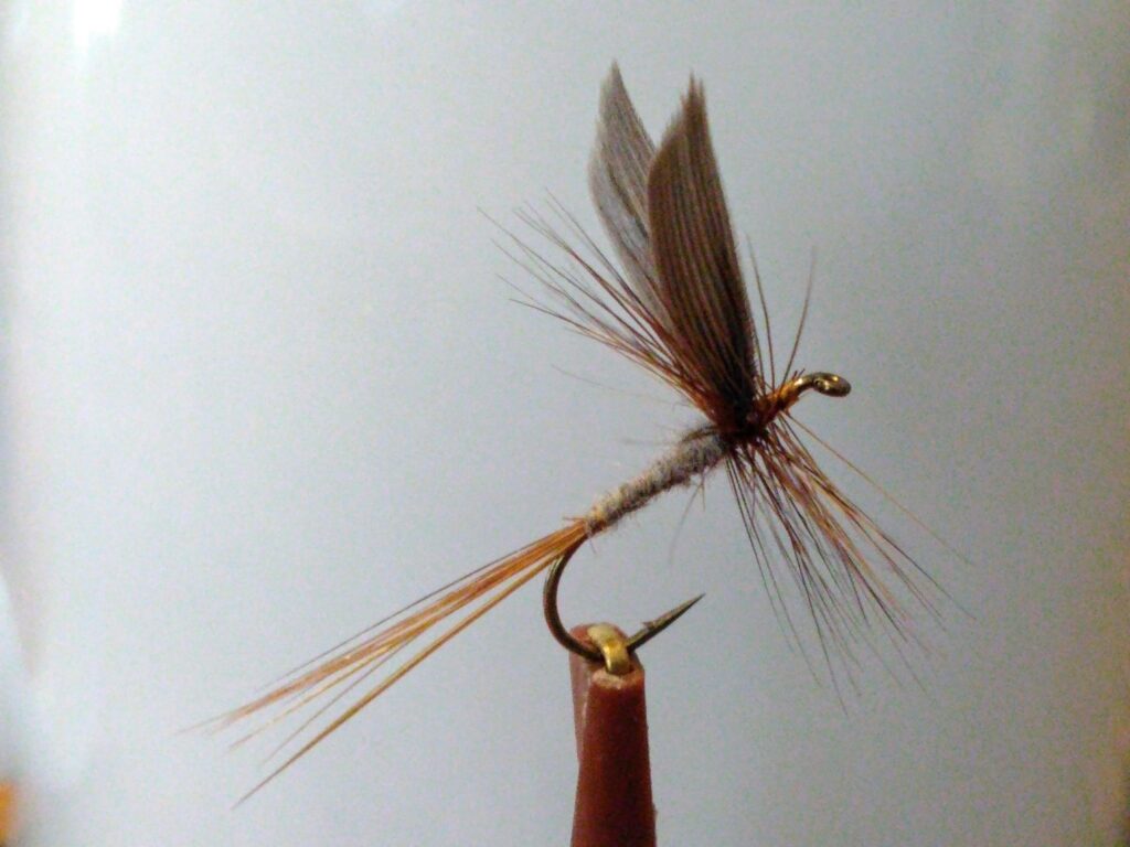 Hendrickson Dry Fly Pattern, Historic & Effective