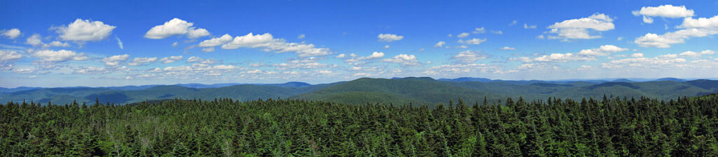 Balsam Lake Fire Tower Hike